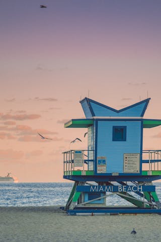 Find sugar daddies and sugar babies in Miami